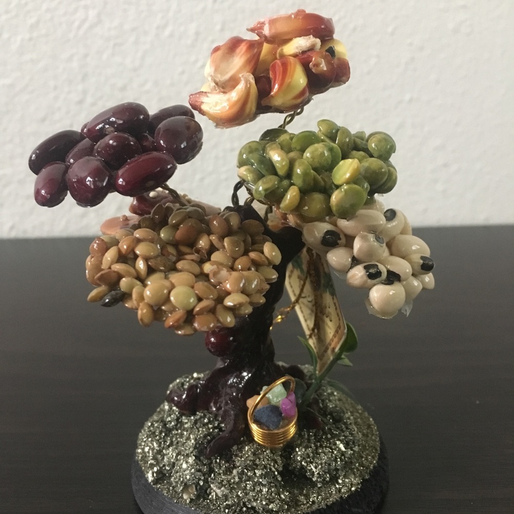 Bonsai of the abundance home decor